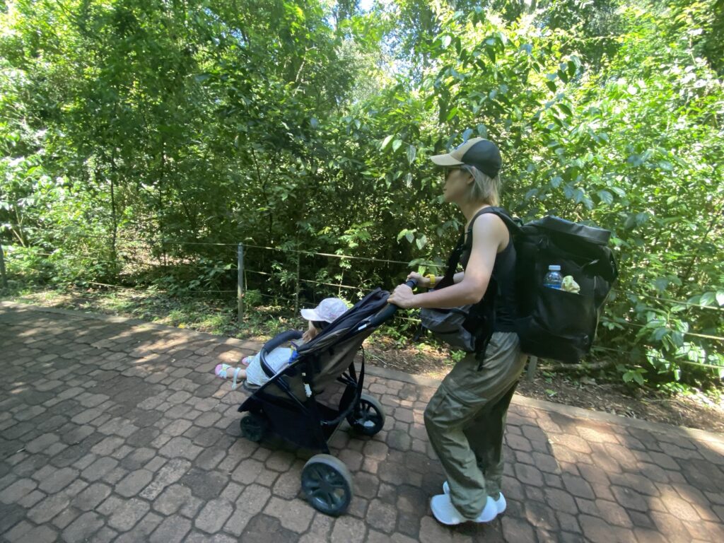 子連れ4人で世界一周して不要だった持ち物6選