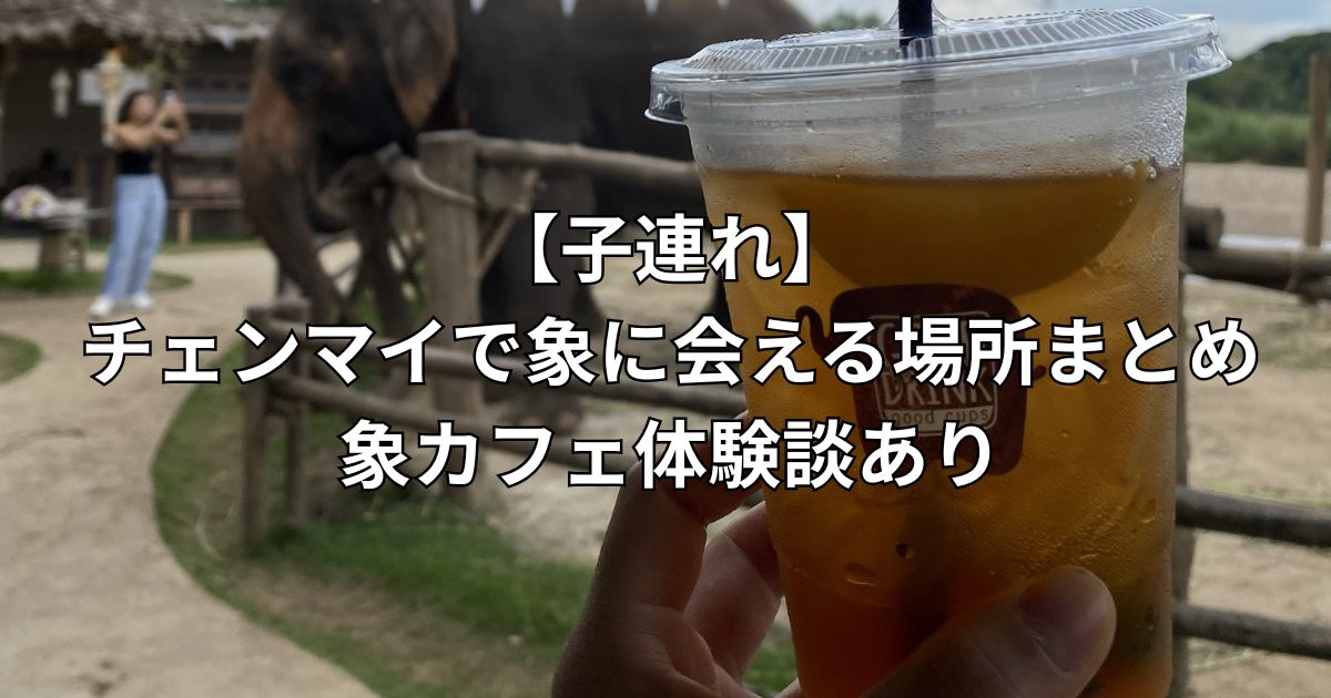 【子連れ】チェンマイで象に会える場所まとめ｜象カフェ体験談あり